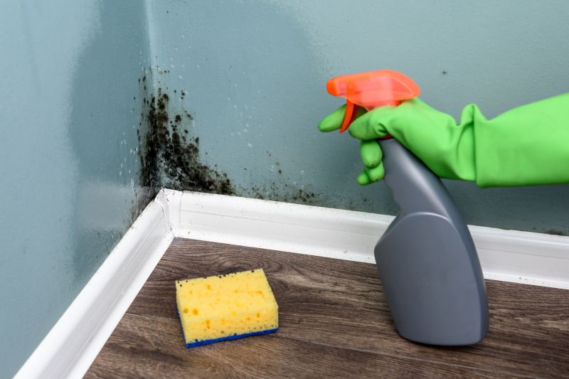 Mold Prevention Measures